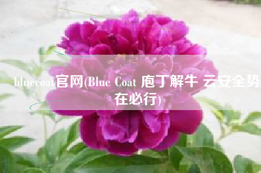 bluecoat官网(Blue Coat 庖丁解牛 云安全势在必行)