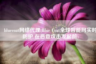 bluecoat网络代理(Blue Coat全球智能网实时防护 在恶意攻击发起前)
