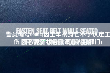 警员编号00004(因工车祸身亡不予认定工伤 死者妻子状告白银市人社部门)