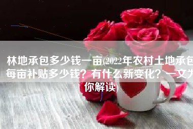 林地承包多少钱一亩(2022年农村土地承包每亩补贴多少钱？有什么新变化？一文为你解读)