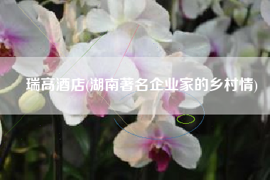 瑞高酒店(湖南著名企业家的乡村情)