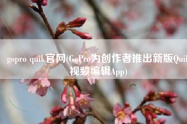 gopro quik官网(GoPro为创作者推出新版Quik视频编辑App)