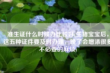 准生证什么时候办比较好(生猪宝宝后，这五种证件要及时办理，晚了会增添很多不必要的麻烦)