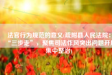 法官行为规范的意义(疏附县人民法院：“三步走”，聚焦司法作风突出问题开展集中整治)