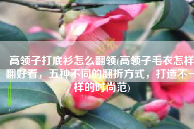 高领子打底衫怎么翻领(高领子毛衣怎样翻好看，五种不同的翻折方式，打造不一样的时尚范)