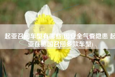起亚召回车型有哪些(因安全气囊隐患 起亚在德国召回多款车型)