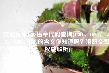 交通违章1208违章代码查询(1301，1625，1345，1208，1039的含义你知道吗？洛阳交警权威解析)
