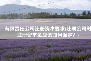 有限责任公司注册资本要求(注册公司时注册资本金应该如何确定？)