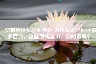 宽带网速多少兆合适(为什么家里网速最多百兆，这些网线常识，你知道吗？)