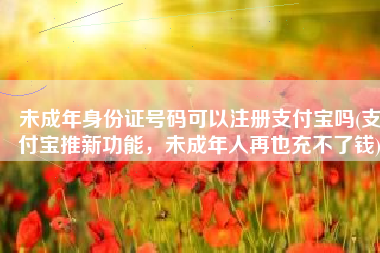 未成年身份证号码可以注册支付宝吗(支付宝推新功能，未成年人再也充不了钱)