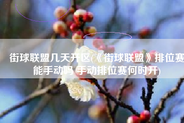 街球联盟几天开区(《街球联盟》排位赛能手动吗 手动排位赛何时开)