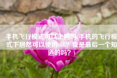 手机飞行模式可以上网吗(手机的飞行模式下居然可以使用wifi？我是最后一个知道的吗？)
