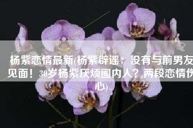 杨紫恋情最新(杨紫辟谣：没有与前男友见面！30岁杨紫厌烦圈内人？两段恋情伤心)