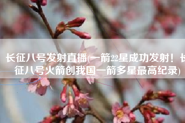 长征八号发射直播(一箭22星成功发射！长征八号火箭创我国一箭多星最高纪录)