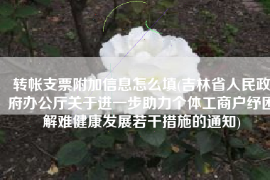 转帐支票附加信息怎么填(吉林省人民政府办公厅关于进一步助力个体工商户纾困解难健康发展若干措施的通知)