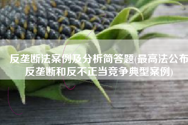 反垄断法案例及分析简答题(最高法公布反垄断和反不正当竞争典型案例)