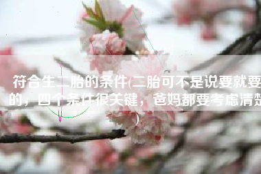 符合生二胎的条件(二胎可不是说要就要的，四个条件很关键，爸妈都要考虑清楚)