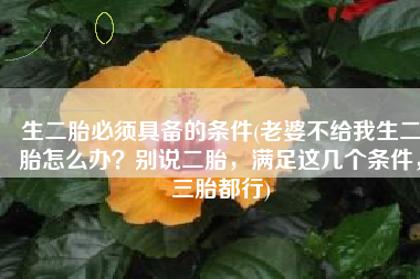 生二胎必须具备的条件(老婆不给我生二胎怎么办？别说二胎，满足这几个条件，三胎都行)