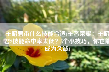 王昭君带什么技能合适(王者荣耀：王昭君2技能命中率太低？5个小技巧，你也能成为久诚)