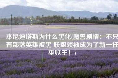 本尼迪塔斯为什么黑化(魔兽剧情：不只有部落英雄被黑 联盟领袖成为了新一任巫妖王！)