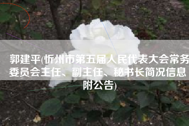 郭建平(忻州市第五届人民代表大会常务委员会主任、副主任、秘书长简况信息 ▏附公告)