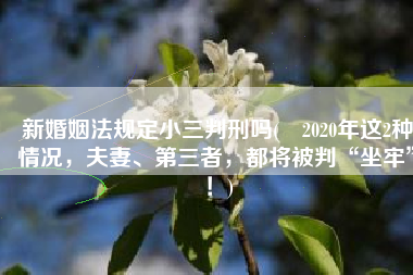 新婚姻法规定小三判刑吗(​2020年这2种情况，夫妻、第三者，都将被判“坐牢”！)