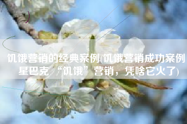 饥饿营销的经典案例(饥饿营销成功案例，星巴克 “饥饿”营销，凭啥它火了)