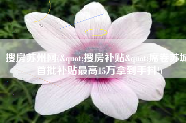 搜房苏州网("搜房补贴"席卷苏城 首批补贴最高15万拿到手抖!)
