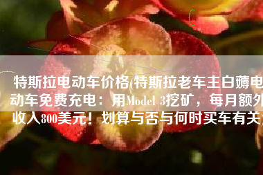 特斯拉电动车价格(特斯拉老车主白薅电动车免费充电：用Model 3挖矿，每月额外收入800美元！划算与否与何时买车有关)