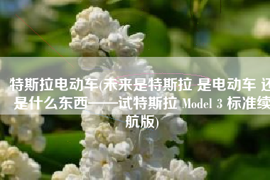 特斯拉电动车(未来是特斯拉 是电动车 还是什么东西——试特斯拉 Model 3 标准续航版)