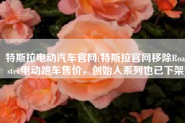 特斯拉电动汽车官网(特斯拉官网移除Roadster电动跑车售价，创始人系列也已下架)