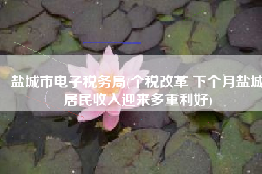 盐城市电子税务局(个税改革 下个月盐城居民收入迎来多重利好)