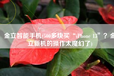 金立智能手机(500多块买“iPhone 13”？金立新机的操作太魔幻了)