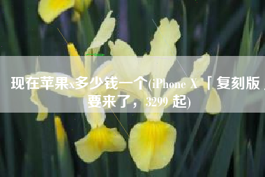 现在苹果x多少钱一个(iPhone X 「复刻版」要来了，3299 起)