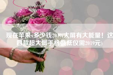 现在苹果x多少钱2019(大屏有大能量！这四款超大屏手机最低仅需2019元)