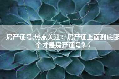 房产证号(热点关注：房产证上面到底哪个才是房产证号？)