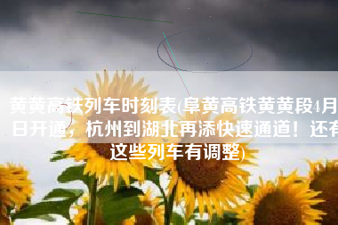 黄黄高铁列车时刻表(阜黄高铁黄黄段4月8日开通，杭州到湖北再添快速通道！还有这些列车有调整)