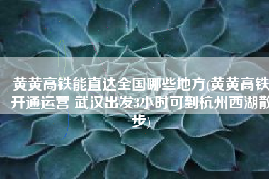 黄黄高铁能直达全国哪些地方(黄黄高铁开通运营 武汉出发3小时可到杭州西湖散步)