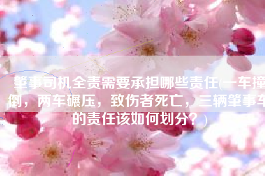 肇事司机全责需要承担哪些责任(一车撞倒，两车碾压，致伤者死亡，三辆肇事车的责任该如何划分？)