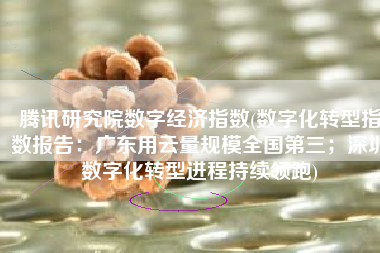 腾讯研究院数字经济指数(数字化转型指数报告：广东用云量规模全国第三；深圳数字化转型进程持续领跑)