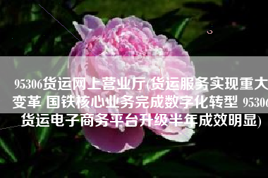 95306货运网上营业厅(货运服务实现重大变革 国铁核心业务完成数字化转型 95306货运电子商务平台升级半年成效明显)