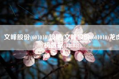 文峰股份(601010)股吧(文峰股份(601010)龙虎榜数据(03-03))