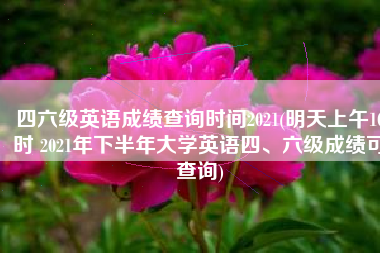 四六级英语成绩查询时间2021(明天上午10时 2021年下半年大学英语四、六级成绩可查询)