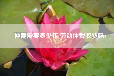 仲裁需要多少钱(劳动仲裁收费吗)