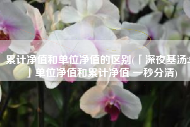累计净值和单位净值的区别(「深夜基汤22」单位净值和累计净值 一秒分清)