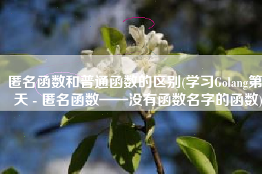 匿名函数和普通函数的区别(学习Golang第9天 - 匿名函数——没有函数名字的函数)