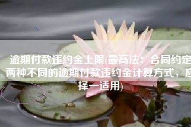 逾期付款违约金上限(最高法：合同约定两种不同的逾期付款违约金计算方式，应择一适用)