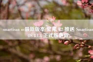 smartisan os最新版本(坚果 R2 推送 Smartisan OS 8.1.4 正式版更新)