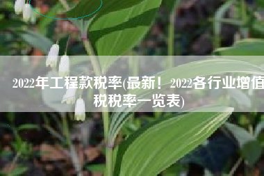 2022年工程款税率(最新！2022各行业增值税税率一览表)