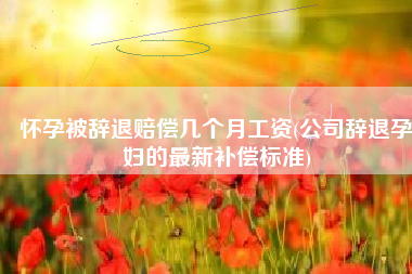 怀孕被辞退赔偿几个月工资(公司辞退孕妇的最新补偿标准)